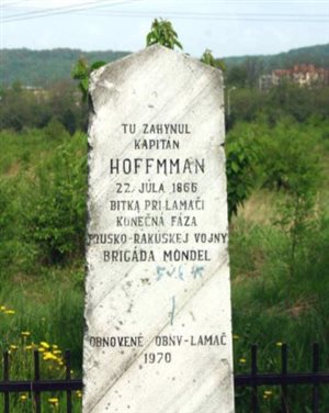 hoffmann detail